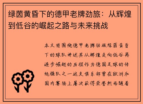 绿茵黄昏下的德甲老牌劲旅：从辉煌到低谷的崛起之路与未来挑战